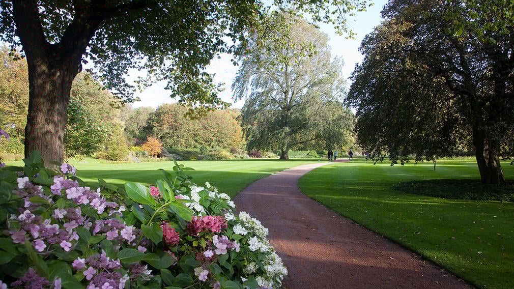 The garden, Palace of Holyroodhouse Lawn and flowers and path