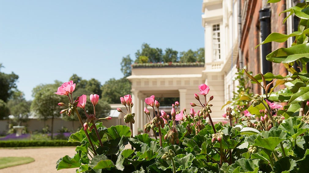 Flowers by the entrance to Clarence House Clarence House