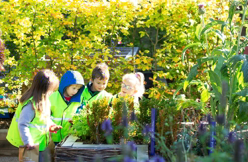 Children in the Physic Garden Children in the Physic Garden