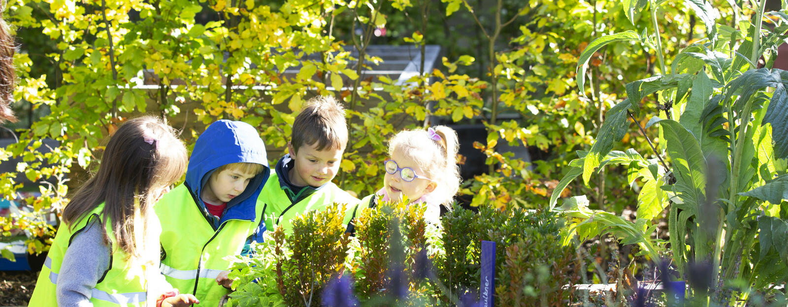 Children in the Physic Garden Children in the Physic Garden
