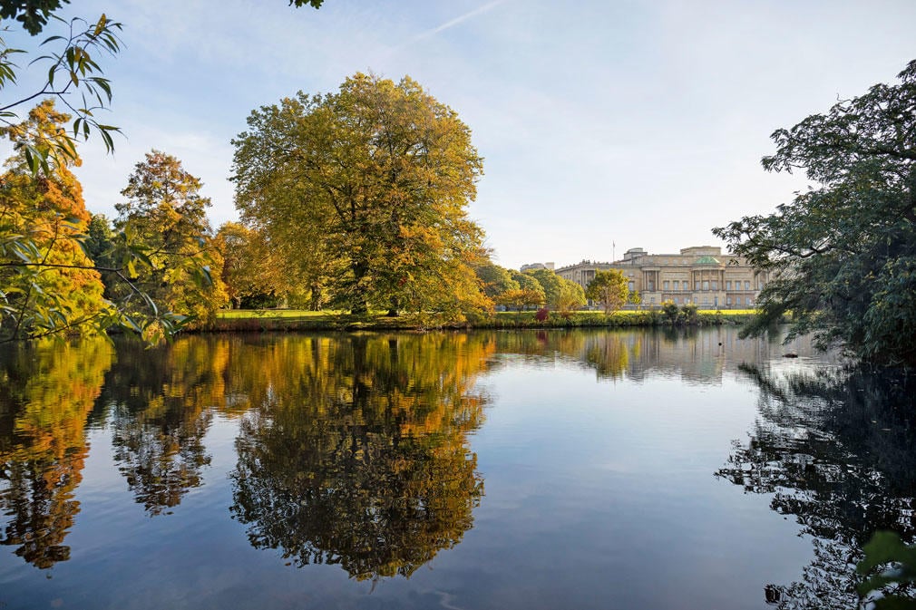 Buckingham Palace viewed from across garden's lake. Photographer: John Campbell Buckingham Palace viewed from across the garden's lake. Photographer: John Campbell