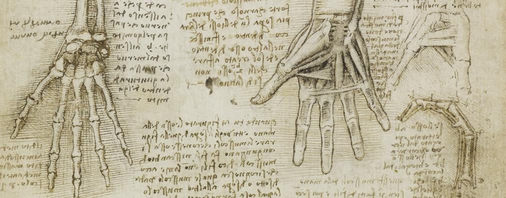 Extract from 'The bones, muscles and tendons of the hand' RCIN 919009