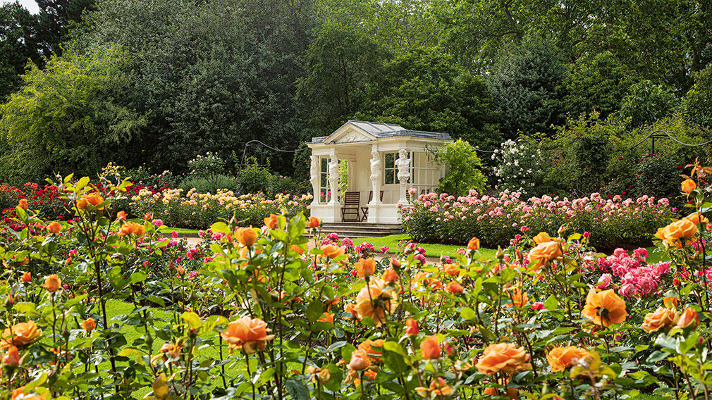 The Rose Garden at Buckingham Palace. Photographer: John Campbell The Rose Garden at Buckingham Palace